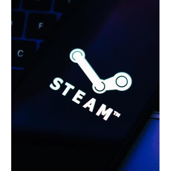 Steam Cüzdan Kodu 100 TL